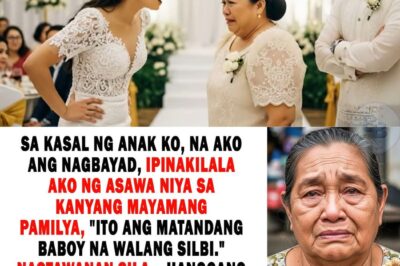 Nilait Ako Ng Manugang Ko “Matandang Baboy Na Walang Silbi” Sa Party Alam Ng Tatay Niya Na Ako Ay.. 