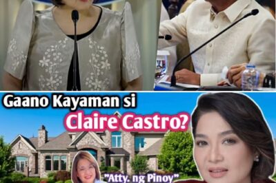 WOW! GAANO NGA BA KAYAMAN SI ATTY. CLAIRE CASTRO? ALAMIN ANG PINAGMULAN NG KANYANG “TRILLION-DOLLAR” VIBE!
