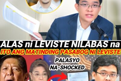 PASABOG SA SENADO! LEANDRO LEVISTE, NILABAS NA ANG “CABRAL FILES”! P400-BILYONG ANOMALYA SA DPWH, NABUNYAG!