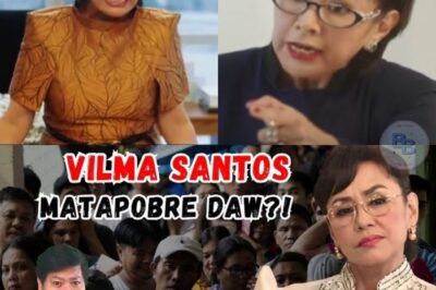 Vilma Santos: “Nasa Itaas Kami, Nasa Ibaba Kayo!” – Maanghang na Banat Laban sa Bashers o Insulto sa Bayan?
