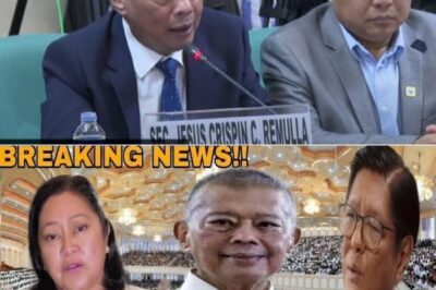 “ILIGTAS ANG BUHAY KO!” Justice Sec. Boying Remulla, Nakiusap nga ba sa Malacañang? Ang Matinding Pressure ng ICC at ang ‘Cabral Files’ – “Ang Oras ay Paubos Na!”