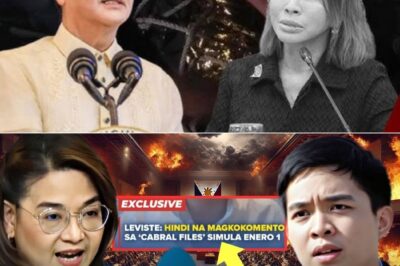 DIRTY PLAY O JUSTICE? Ang ‘Cabral Files’ ni Leviste, Yumanig sa Malacañang! PBBM, Inungkat ang P8-Billion ‘Secret Insertions’? Malacañang, Rumesbak: “Ilegal ang pagkuha ng files!”