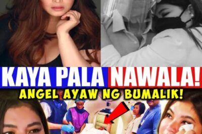 Magugulat Ka! Ito Na Ang Buhay ni Angel Locsin!