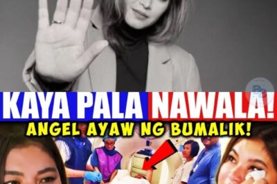 Magugulat Ka! Ito Na Ang Buhay ni Angel Locsin!