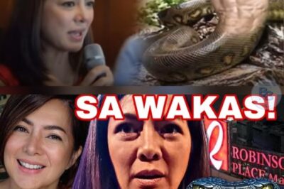 Lihim ni Alice Dixson: Ang Totoong Nakita niya sa Taong Ahas ng Robinsons!