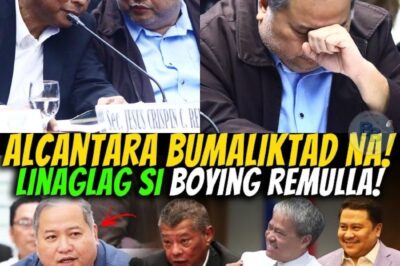 ALCANTRA BUMALIKTAD NA! YARI SI BOYING REMULLA? JOEL & JINGGOY POSIBLENG ABSWELTO NA?
