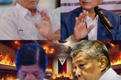 KUMALAMPAG NA! REMULLA IBINISTO ANG MGA LIHIM NI PANGULONG MARCOS, PUNO NG KONTROBERSIYA!