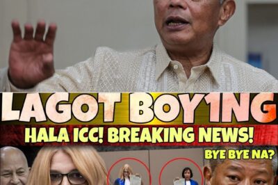 BOYING REMULLA, NANGINGINIG NA?! ATTY. TORREON NAGPAKITANG-GILAS: “DISBARMENT CASE” AT “KIDNAPPING CHARGES,” INIHAIN NA! OMBUDSMAN BID, MAWAWALA NA PARANG BULA?!