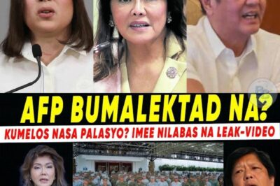 UMAKSYON NA BA? Pag-amin ni IMEE, Impeachment ni BONGIT at ang Tahimik na Galaw ng Korte VPSARA