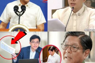 LEANDRO LEVISTE, HINDI NA NAKAPAGPIPIL: “ANG BAHO NI BONGBONG, ILALABAS KO NA!” – MGA EBIDENSYANG NAGLALAGABLAB, BONGIT WALA NANG KAWALA?!