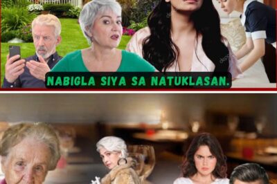 NAGPANGGAP ANG MAYAMANG DALAGA BILANG KATULONGUPANG MALAMAN ANG TUNAY NA UGALI NG STEPMOM NITO