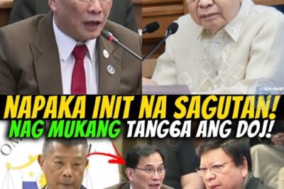 Aso, Luha, at Nawawalang Pera: Ang Banggaan nina Remulla at Sen. Marcoleta