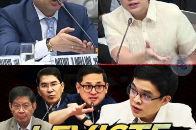 Cabral Files: Ang Matapang na Pagharap ni Leandro Leviste na Nagpagalaw sa Senado