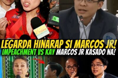 Lihim na Are gluhan? Sen Legarda, Marcos Jr at ang Rebelasyon ni Cong Leviste