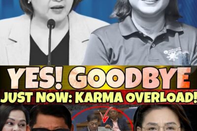 Hala! Matindi ang balitang ito! Kumakalat ngayon ang usap-usapan tungkol sa isang kasong umano’y mauuwi sa disbarment