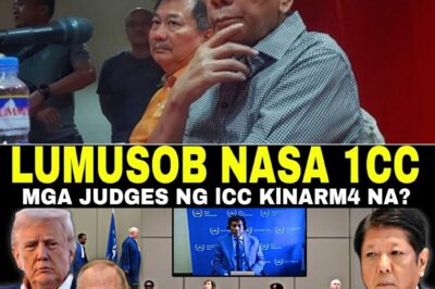 Palasyo Nayon sa Bagong Rebelasyon! PRRD at 1CC Connection, Isiniwalat na; Malacañang, May Kinatatakutan?