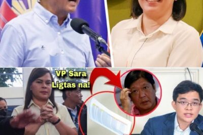 GRABE ANG PLOT TWIST! VP SARA DUTERTE, NAGPASALAMAT KAY LEANDRO LEVISTE! EBIDENSYA LABAN KAY PBBM, ILALABAS NA?