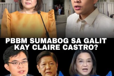 PBBM NAGSALITA NA? SUMABOG SA GALIT KAY CLAIRE CASTRO DAHIL SA CYBER LIBEL NI CONG LEANDRO LEVISTE?!
