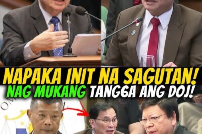BREAKING NEWS: NASAAN NA NGA BA ANG SINOLING PERA? ASO NI REMULLA, PINAIYAK NI SEN. MARCOLETA!