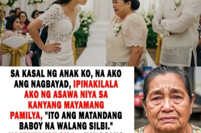 Nilait Ako Ng Manugang Ko “Matandang Baboy Na Walang Silbi” Sa Party Alam Ng Tatay Niya Na Ako Ay..