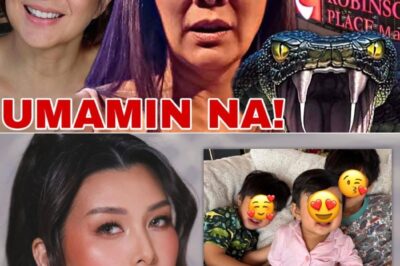 HETO NA PALA NGAYON SI ALICE DIXSON, MAY INAMIN TUNGKOL SA TAONG AHAS SA ROBINSONS! MATAPOS ANG 30 TAON, TOTOO NGA BA?