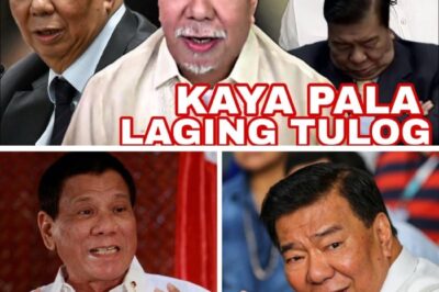 HETO NA PALA NGAYON SI FRANKLIN DRILON! “BIG MAN” NG SENADO, MAHINA NA NGA BA? ALAMIN ANG TUNAY NA ESTADO NG KANYANG KALUSUGAN NGAYONG 2026!