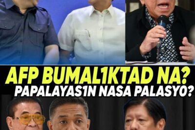 FINALLY! AFP UMAKSYON NA SA MGA PANALAMIT NG DESTABILIZATION! CHAVIT SINGSON, NAGLABAS NG EBIDENSYA? PANAWAGANG “MARCOS RESIGN” LALONG UMINIT!