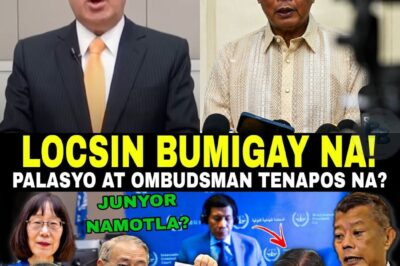GOOD NEWS nga ba ito? Biglang umugong ang balita: Teddy Locsin, tumestigo na umano!