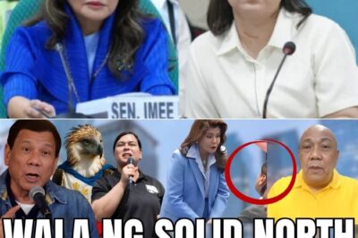 KAKAPASOK LANG! TAGA-NORTE LULUSOB NA SA SOUTH?! SEN. IMEE, BINUKING ANG “SNEAKY” NA PLANONG IMPEACHMENT!