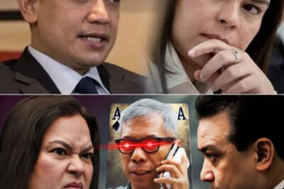 YARI NA! TRILLANES, IBINUKING ANG “SECRET PLANO” KAY HEN. TORRE! ANG BANGUNGOT NA AYAW MANGYARI NI VP SARA, MAGKAKATOTOO NA?!