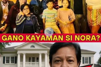 Ang Lihim na Yaman ni Nora Aunor—Ano ang Itinatago?