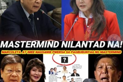 “BASAG NA ANG KATAHIMIKAN: SINO ANG TOTOONG UTAK SA FLOOD SCAM?”