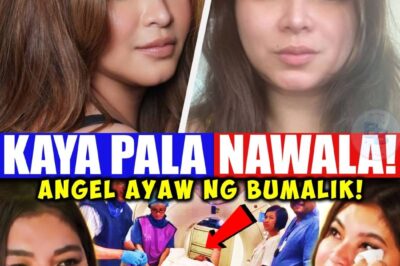 Magugulat ka talaga kapag nalaman mo kung ano na ang totoong buhay ni Angel Locsin ngayon.