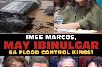 YANIG ANG SENADO! IMEE MARCOS, BINUKING NA ANG MGA “FLOOD CONTROL KINGS”! KASO LABAN SA MGA SENADOR AT KONGREHSISTA, ISASAMPA NA SA JANUARY 15?