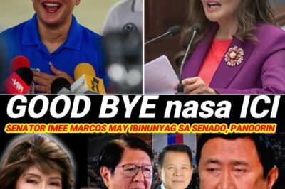 KAKAPASOK LANG! NAKUPO! TULUYAN NANG MAGSASARA ANG PINTO PARA SA ICC?! SENADO, VP SARA, AT IMEE MARCOS, NAGKAISA NA!