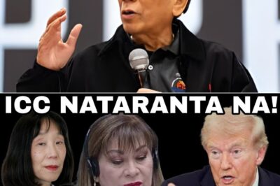 ANG “SECRET WEAPON” PARA MAKALAYA SI TATAY DIGONG SA ICC! MGA EKSPERTO, NAGKAISA NA HINDI PWEDENG MAKULONG ANG DATING PANGULO!